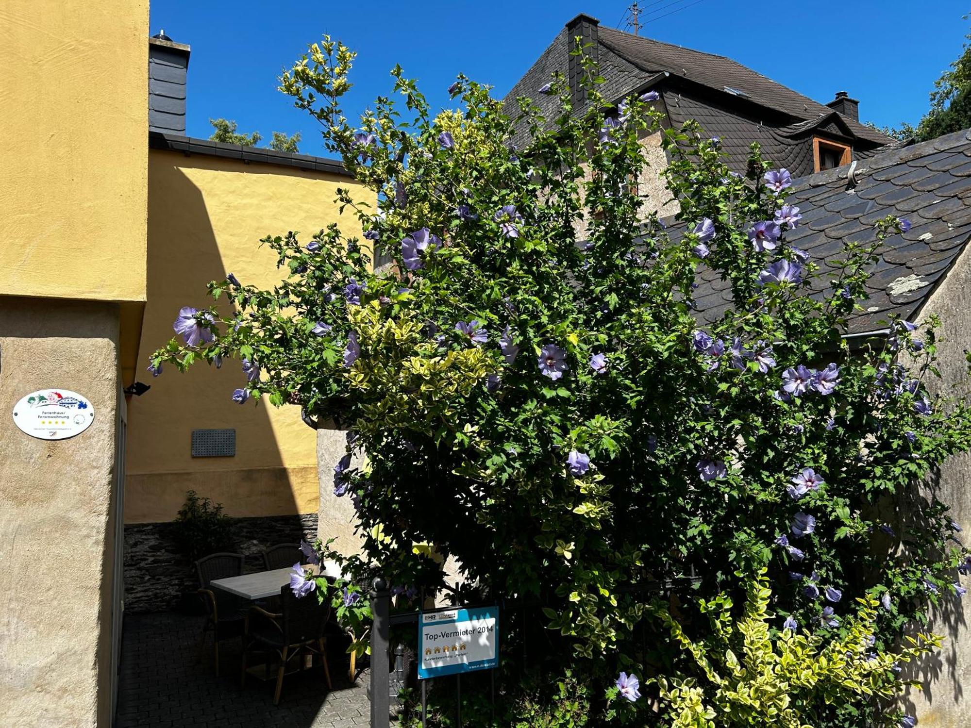 Ferienhaus Ausonius Neumagen-Dhron Εξωτερικό φωτογραφία